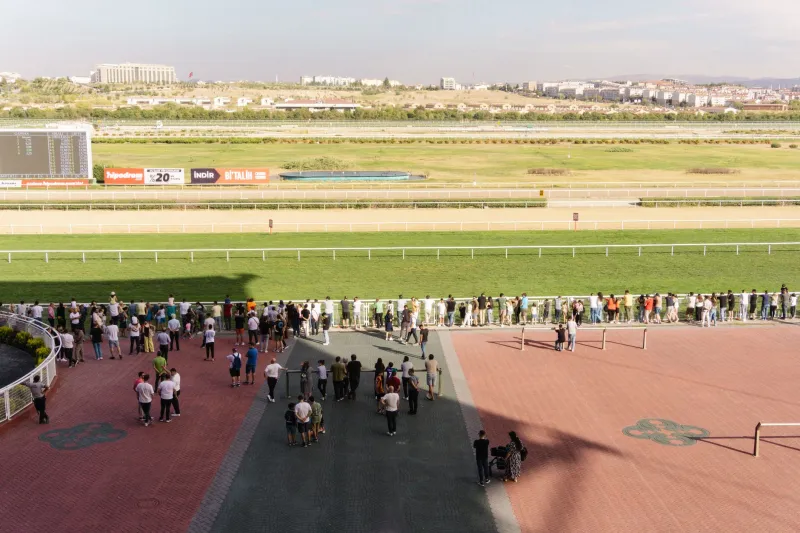 Bet From Your Seat: How In-Stadium Sports Wagering Is Rewriting the Fan Experience